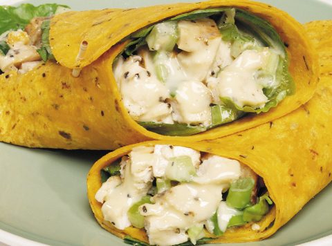Grilled Caesar Chicken Salad Wraps