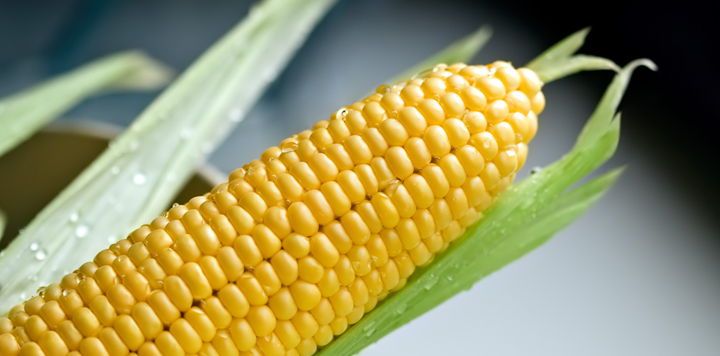Corn