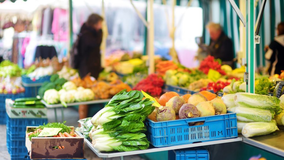 Organic vegetables sold in farmers market