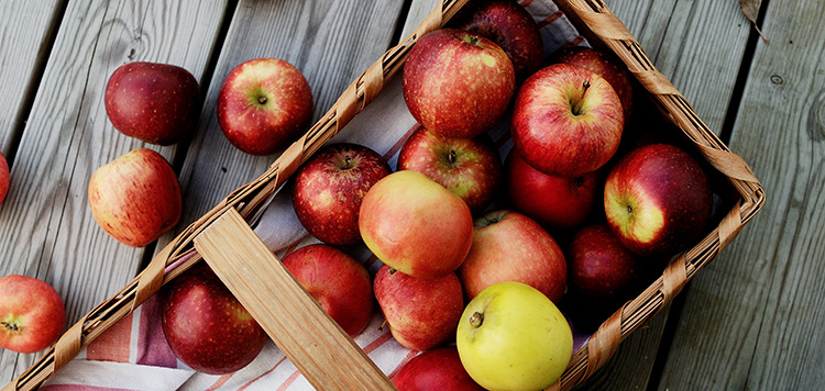 fall apple recipes
